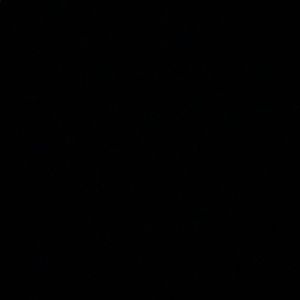 Meet your Posher, Shauna